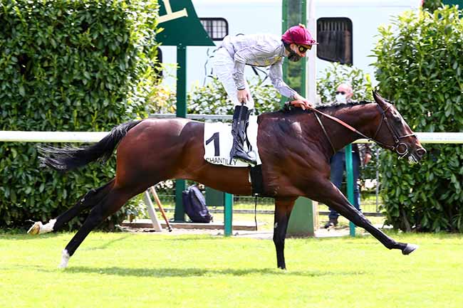 Photo d'arrivée de la course pmu PRIX TEXANITA à CHANTILLY le Mercredi 13 mai 2020