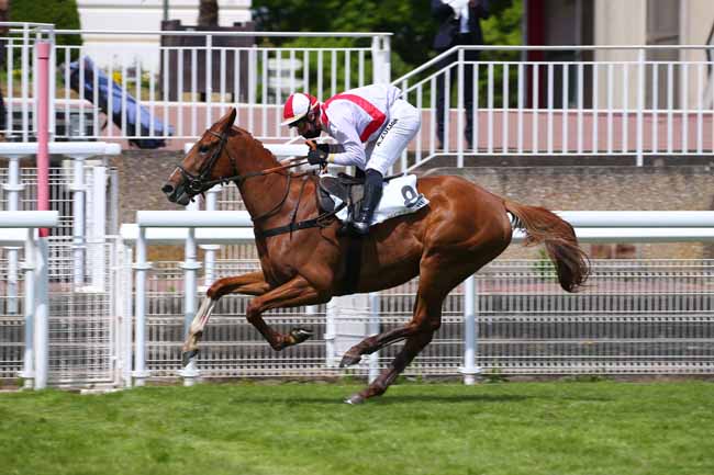 Photo d'arrivée de la course pmu PRIX WILD MONARCH (POULICHES) à AUTEUIL le Samedi 16 mai 2020