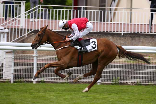 Photo d'arrivée de la course pmu PRIX LE GUALES DE MEZAUBRAN à AUTEUIL le Samedi 16 mai 2020