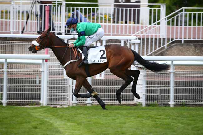 Photo d'arrivée de la course pmu PRIX GO AHEAD à AUTEUIL le Samedi 16 mai 2020