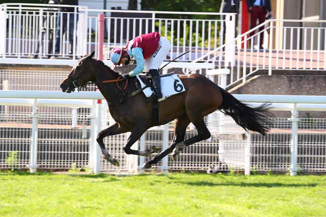 Photo d'arrivée de la course pmu PRIX LEON RAMBAUD à AUTEUIL le Dimanche 17 mai 2020