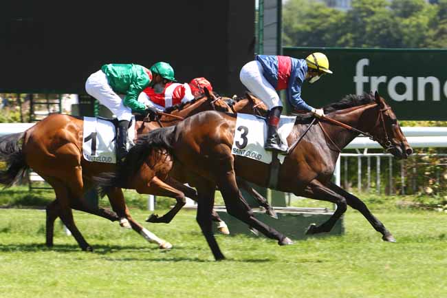 Photo d'arrivée de la course pmu PRIX NUBIENNE à SAINT-CLOUD le Mardi 19 mai 2020