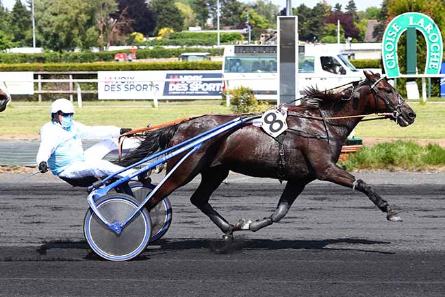 Photo d'arrivée de la course pmu GRAND NATIONAL DES AMATEURS à LE CROISE-LAROCHE le Mercredi 20 mai 2020