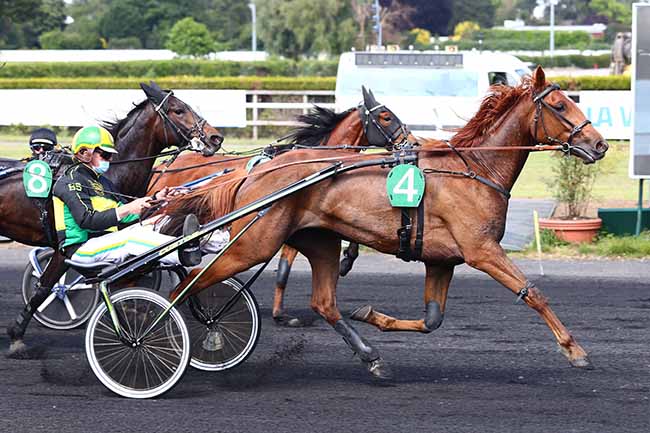 Photo d'arrivée de la course pmu PRIX DE L'EUROPE à LE CROISE-LAROCHE le Mercredi 20 mai 2020