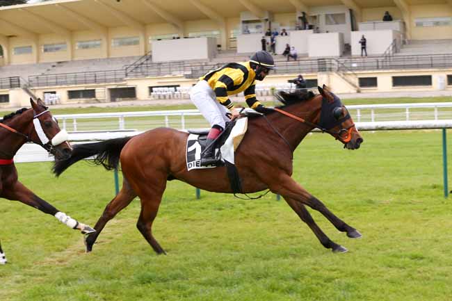Photo d'arrivée de la course pmu PRIX LE BOUIF à DIEPPE le Vendredi 22 mai 2020