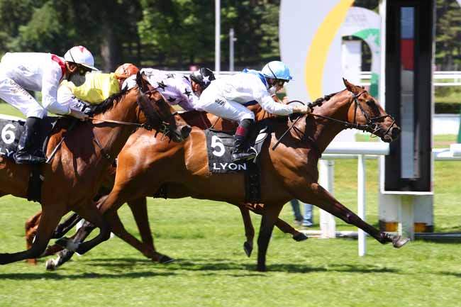 Photo d'arrivée de la course pmu PRIX DE BUZENVAL à LYON-PARILLY le Lundi 25 mai 2020