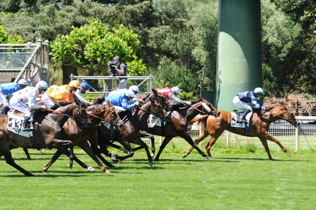 Photo d'arrivée de la course pmu PRIX D'ORRY à VICHY le Mercredi 27 mai 2020