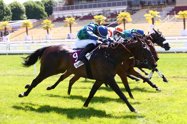 Photo d'arrivée de la course pmu PRIX DE POUILLY à CLAIREFONTAINE le Samedi 30 mai 2020