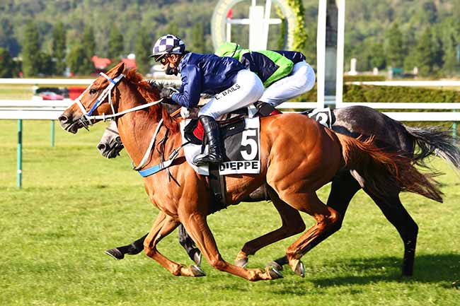 Photo d'arrivée de la course pmu PRIX DE MAULE à DIEPPE le Samedi 30 mai 2020
