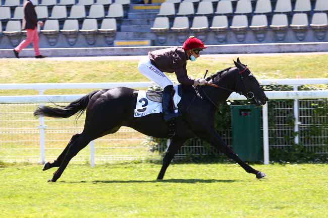 Photo d'arrivée de la course pmu PRIX DU BERCEAU à DEAUVILLE le Dimanche 31 mai 2020