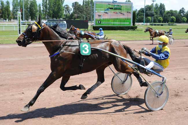 Photo d'arrivée de la course pmu PRIX VICHY CELESTINS à VICHY le Mardi 2 juin 2020