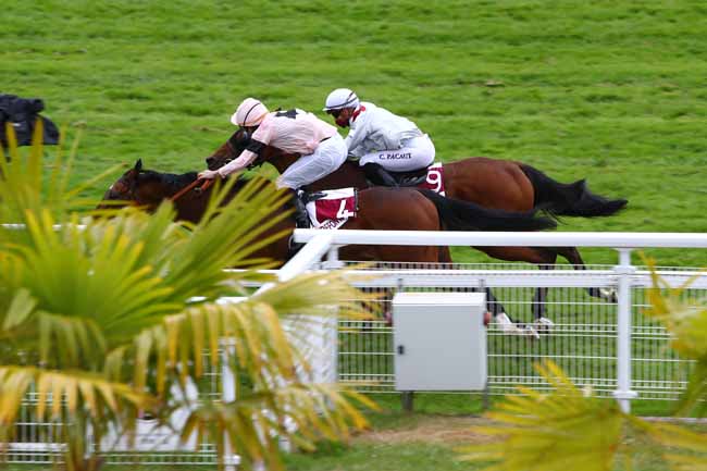 Photo d'arrivée de la course pmu PRIX DE FAUSSES REPOSES à CLAIREFONTAINE le Jeudi 4 juin 2020