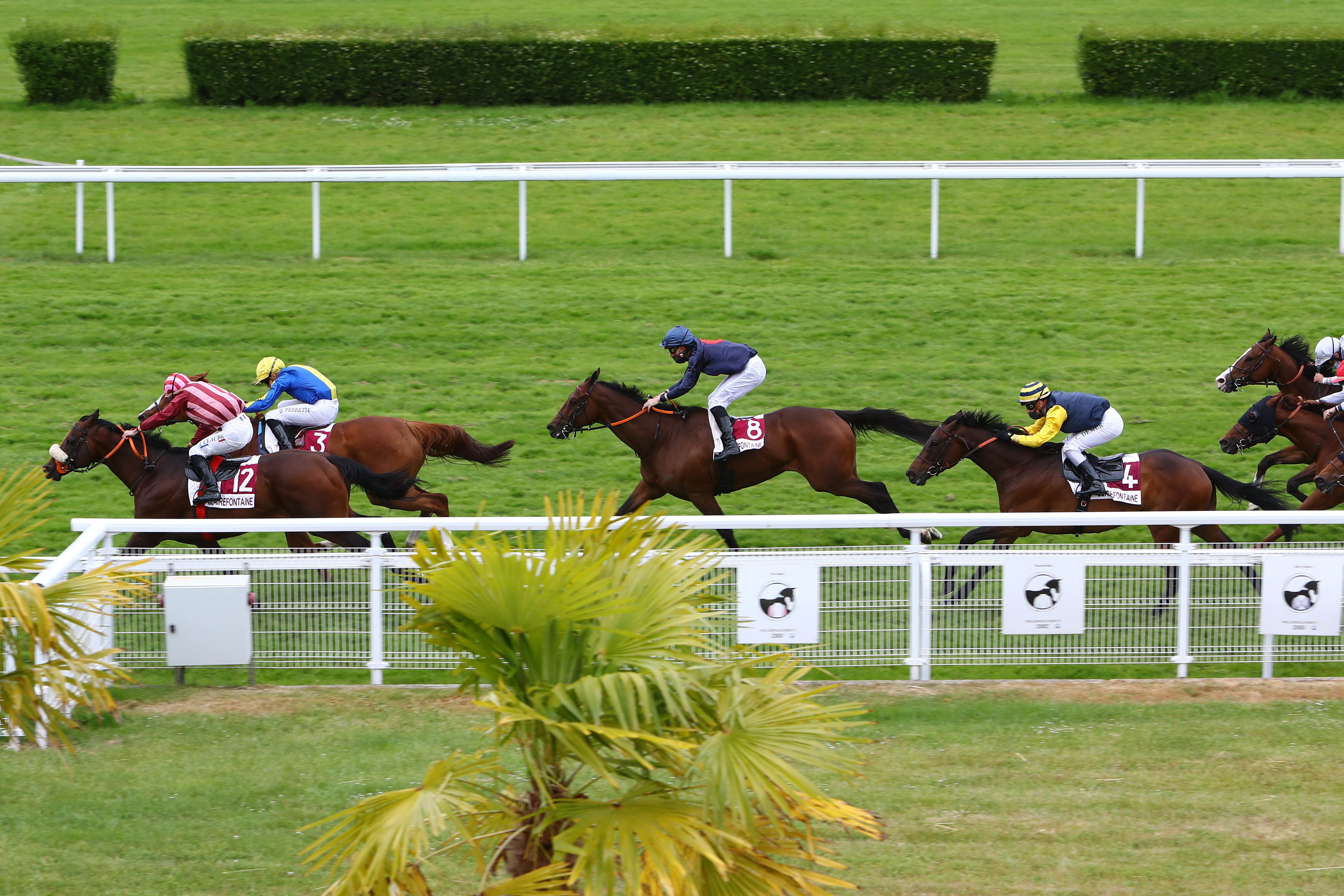Photo d'arrivée de la course pmu PRIX D'EMERY à CLAIREFONTAINE le Jeudi 4 juin 2020