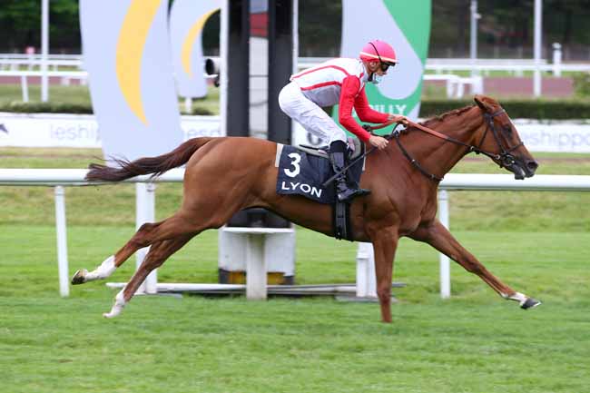 Photo d'arrivée de la course pmu PRIX CLEOPATRE à LYON-PARILLY le Samedi 6 juin 2020
