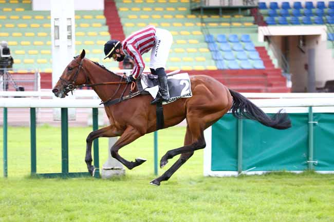 Photo d'arrivée de la course pmu PRIX STANLEY à COMPIEGNE le Dimanche 7 juin 2020