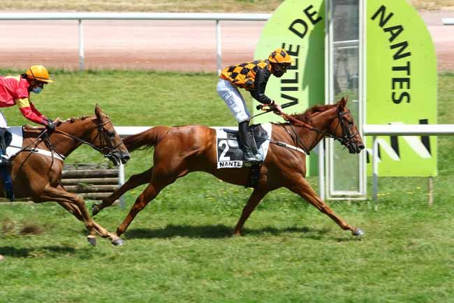 Photo d'arrivée de la course pmu GRAND PRIX DES AQPS à NANTES le Mardi 9 juin 2020
