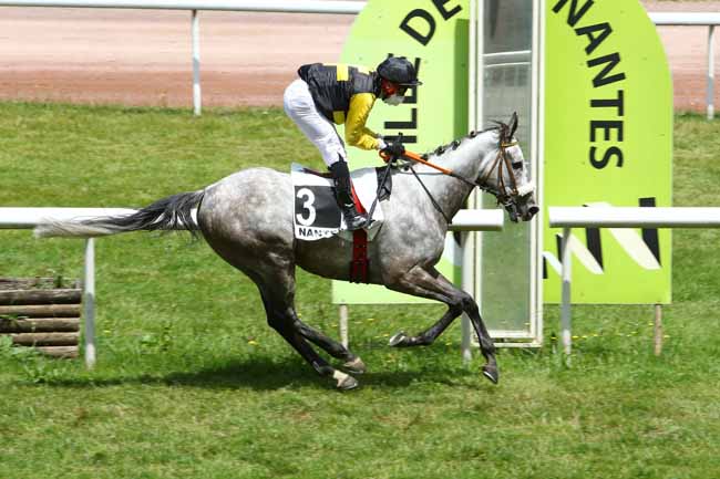 Photo d'arrivée de la course pmu GRAND PRIX SYNERGIE à NANTES le Mardi 9 juin 2020