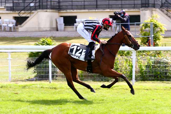 Photo d'arrivée de la course pmu PRIX DE L'ORCHIDEE FANTOME à DIEPPE le Vendredi 12 juin 2020