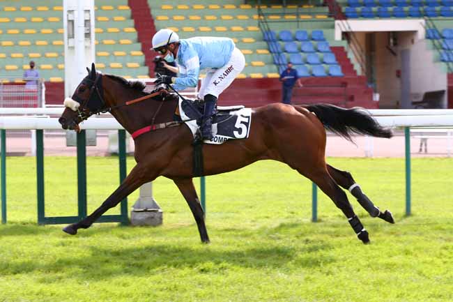 Photo d'arrivée de la course pmu PRIX DANIEL LESCALLE à COMPIEGNE le Samedi 13 juin 2020