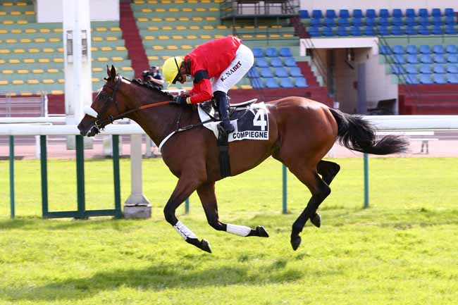 Photo d'arrivée de la course pmu PRIX XAVIER DE CHEVIGNY à COMPIEGNE le Samedi 13 juin 2020