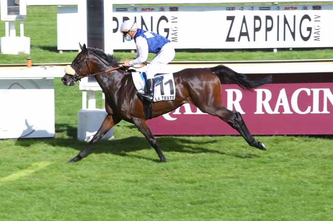 Photo d'arrivée de la course pmu PRIX DU BASSIN D'ARCACHON - SABT à LA TESTE DE BUCH le Jeudi 18 juin 2020