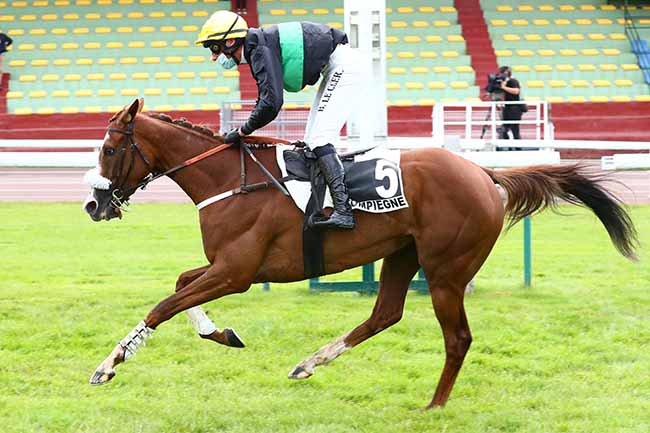 Photo d'arrivée de la course pmu PRIX ARISTOTE à COMPIEGNE le Jeudi 18 juin 2020