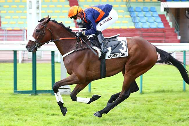 Photo d'arrivée de la course pmu PRIX EL PASO III à COMPIEGNE le Jeudi 18 juin 2020