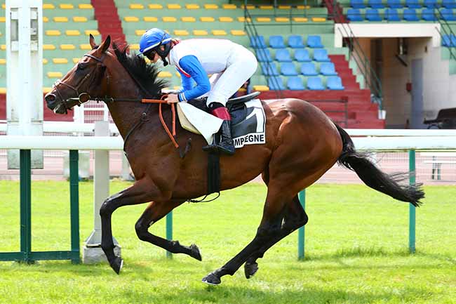 Photo d'arrivée de la course pmu PRIX PORT SAID à COMPIEGNE le Jeudi 18 juin 2020