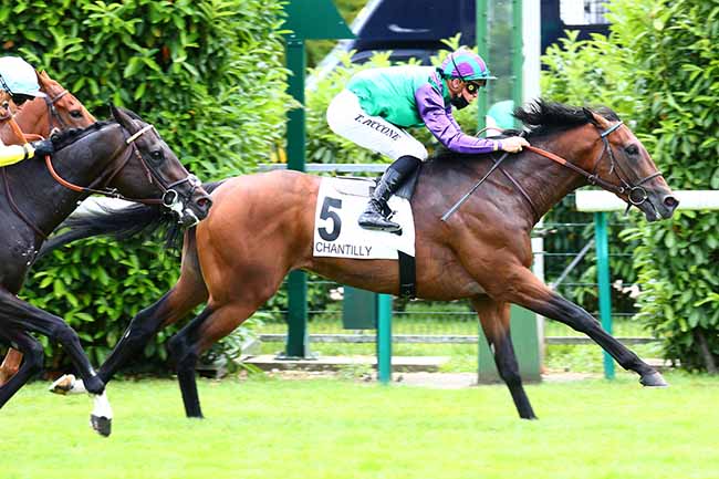 Photo d'arrivée de la course pmu PRIX DE MAGDELEINE à CHANTILLY le Vendredi 19 juin 2020