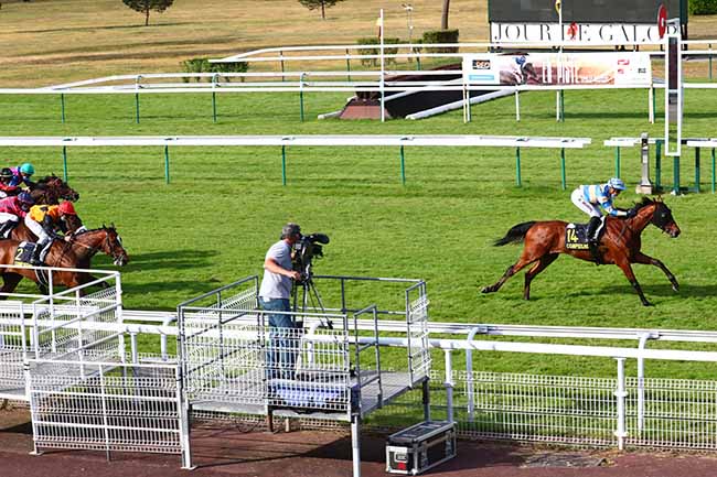 Photo d'arrivée de la course pmu PRIX DE L'ELEGANCE à COMPIEGNE le Samedi 20 juin 2020