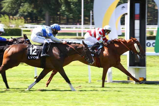 Photo d'arrivée de la course pmu PRIX DES TERREAUX à LYON-PARILLY le Lundi 22 juin 2020