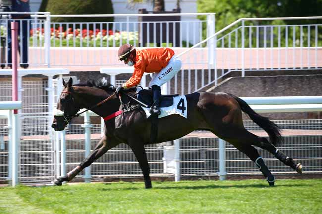 Photo d'arrivée de la course pmu PRIX PHARAON à AUTEUIL le Mardi 23 juin 2020