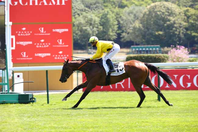 Photo d'arrivée de la course pmu PRIX DE L'ETANG DES TRIBUNES à LONGCHAMP le Jeudi 25 juin 2020