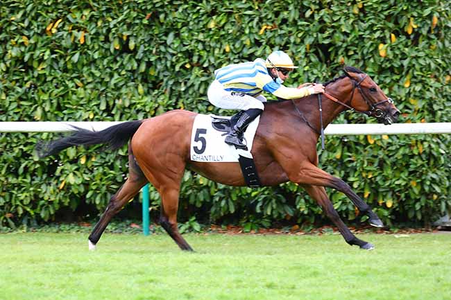 Photo d'arrivée de la course pmu PRIX HAMPTON à CHANTILLY le Samedi 27 juin 2020