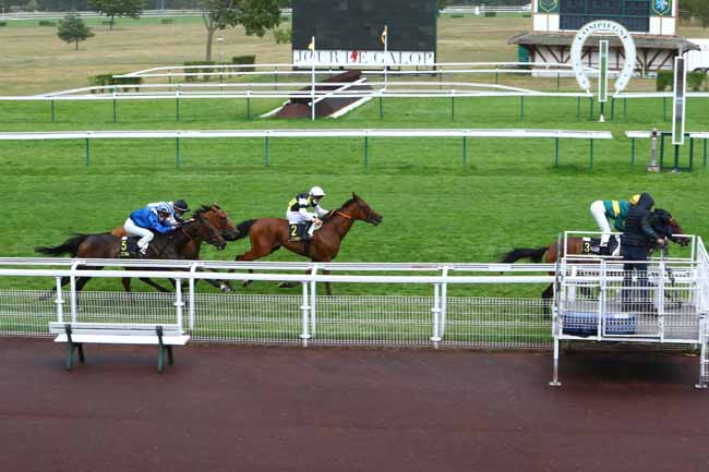 Photo d'arrivée de la course pmu PRIX DE LA CORNICHE à COMPIEGNE le Mercredi 1 juillet 2020