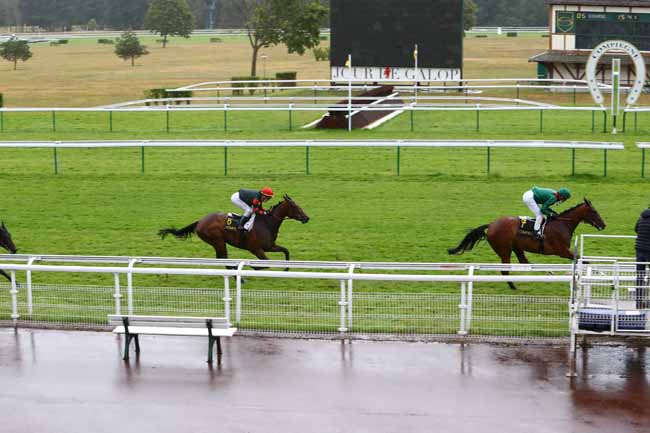 Photo d'arrivée de la course pmu PRIX DU COCHET à COMPIEGNE le Mercredi 1 juillet 2020