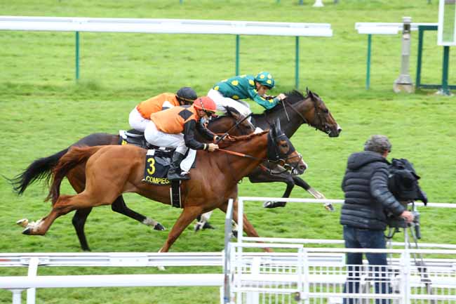 Photo d'arrivée de la course pmu PRIX DE SAINT-GATIEN-DES-BOIS à COMPIEGNE le Mercredi 1 juillet 2020