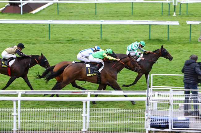 Photo d'arrivée de la course pmu PRIX DU BASSIN A FLOT à COMPIEGNE le Mercredi 1 juillet 2020