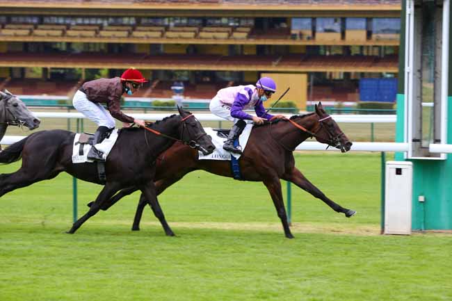 Photo d'arrivée de la course pmu PRIX DU BOIS à LONGCHAMP le Jeudi 2 juillet 2020