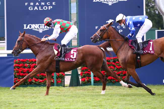 Photo d'arrivée de la course pmu QATAR DERBY DES PUR-SANG ARABE DE 4 ANS à CHANTILLY le Dimanche 5 juillet 2020