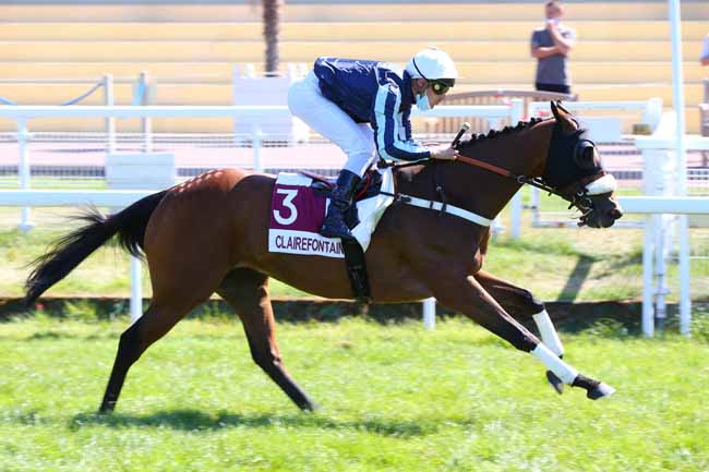 Photo d'arrivée de la course pmu PRIX DU CHEMIN DU MARAIS à CLAIREFONTAINE le Vendredi 10 juillet 2020