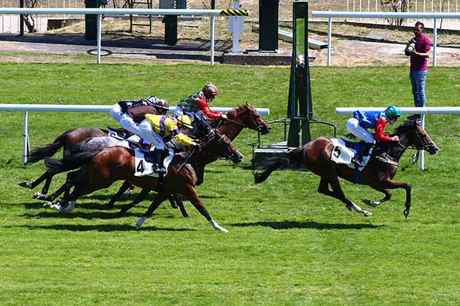 Photo d'arrivée de la course pmu PRIX DE BUC à SAINT-CLOUD le Lundi 13 juillet 2020