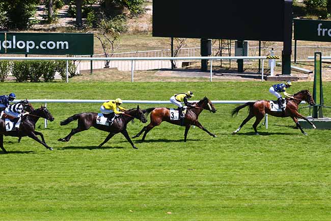 Photo d'arrivée de la course pmu PRIX DU DOMAINE DE SAINT-CLOUD à SAINT-CLOUD le Lundi 13 juillet 2020