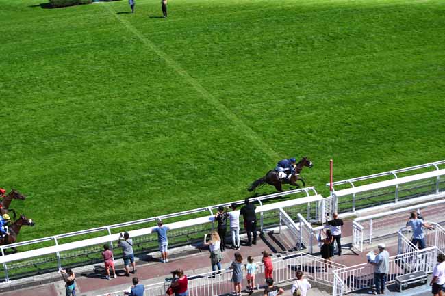 Photo d'arrivée de la course pmu PRIX TURCO à AUTEUIL le Lundi 13 juillet 2020