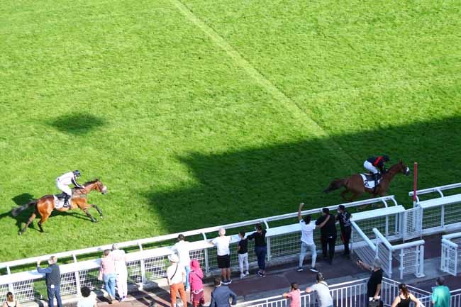 Photo d'arrivée de la course pmu PRIX HARDATIT à AUTEUIL le Lundi 13 juillet 2020