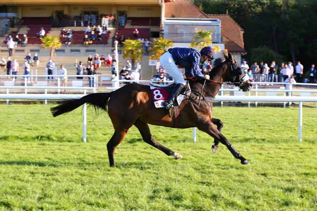 Photo d'arrivée de la course pmu PRIX A L'ONGLAISE à CLAIREFONTAINE le Samedi 18 juillet 2020