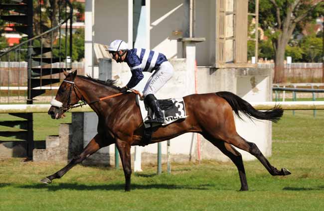 Photo d'arrivée de la course pmu PRIX DE LA FORET DE TRONCAIS à VICHY le Lundi 20 juillet 2020