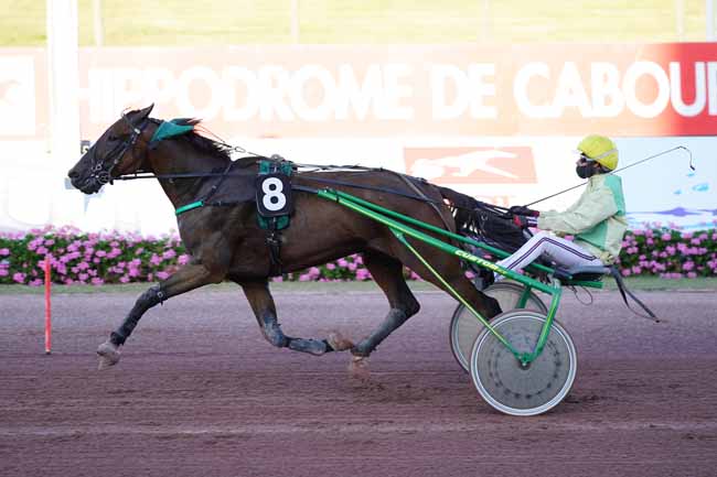 Photo d'arrivée de la course pmu PRIX DES LISERONS à CABOURG le Vendredi 7 août 2020