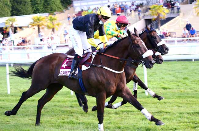 Photo d'arrivée de la course pmu PRIX DES ACONITES à CLAIREFONTAINE le Vendredi 7 août 2020