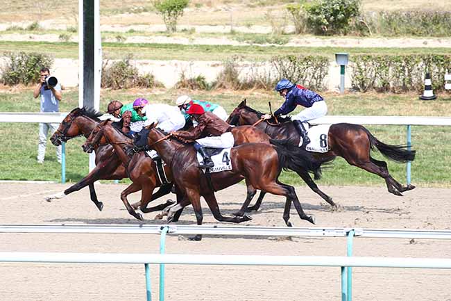 Photo d'arrivée de la course pmu PRIX DE COSQUEVILLE à DEAUVILLE le Samedi 8 août 2020